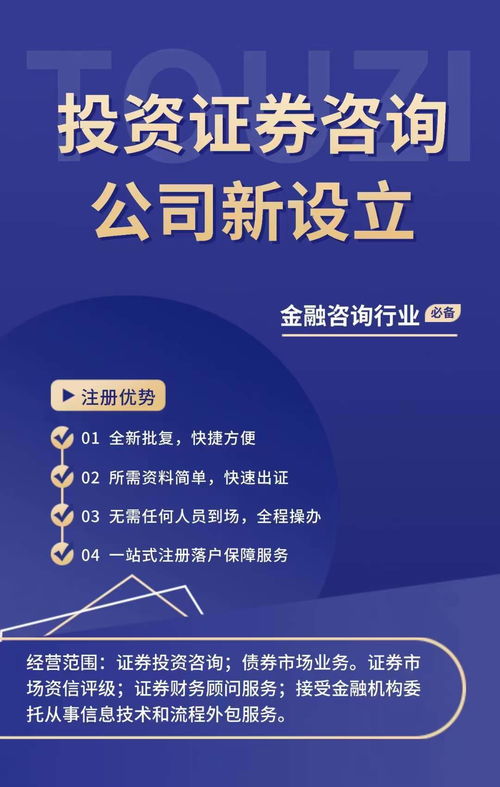 公司新设立 证券投资咨询公司