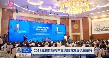 广东2000官费软件测试报告退税报价 诚信为本 连横天下供应