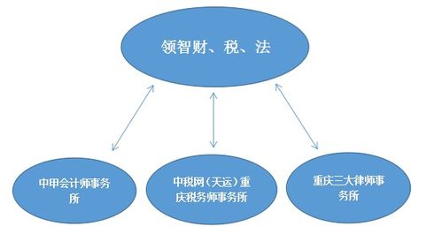 园区财税 你的企业,正差一个最亲密的合作伙伴
